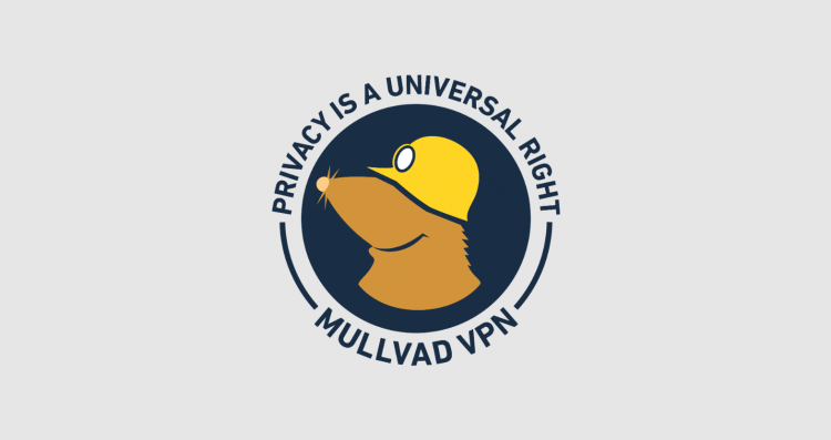 Mullvad Shuts Down Public DNS Servers: Why Reinvent the Wheel When You Can Sponsor Quad9?